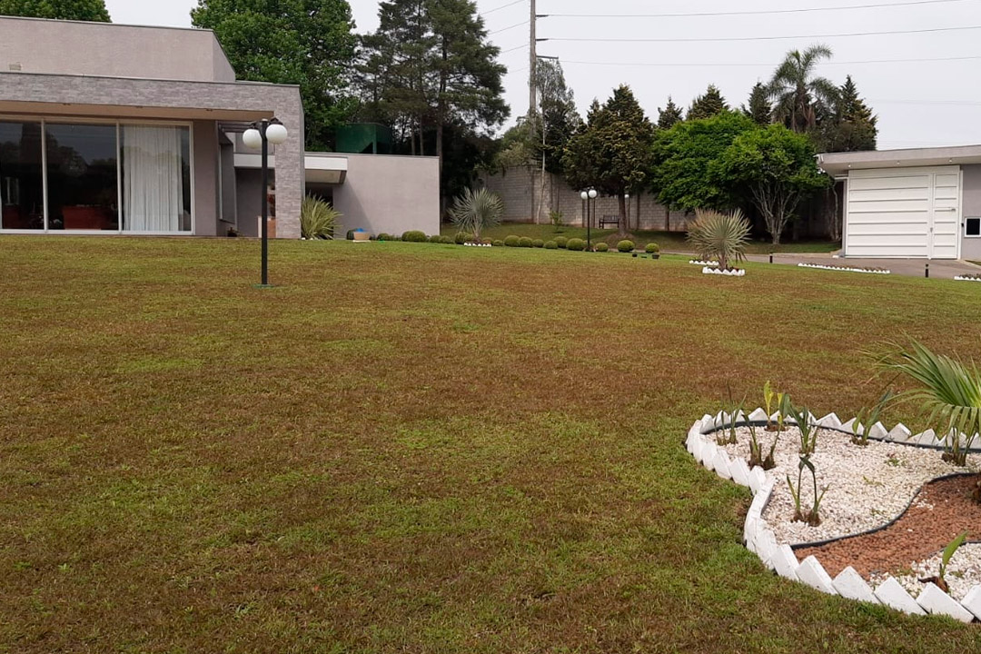 Doença foliar causada pelos fungos Cercospora seminalis ou Cercospora fusimaculans, que provoca lesões nas folhas do gramado