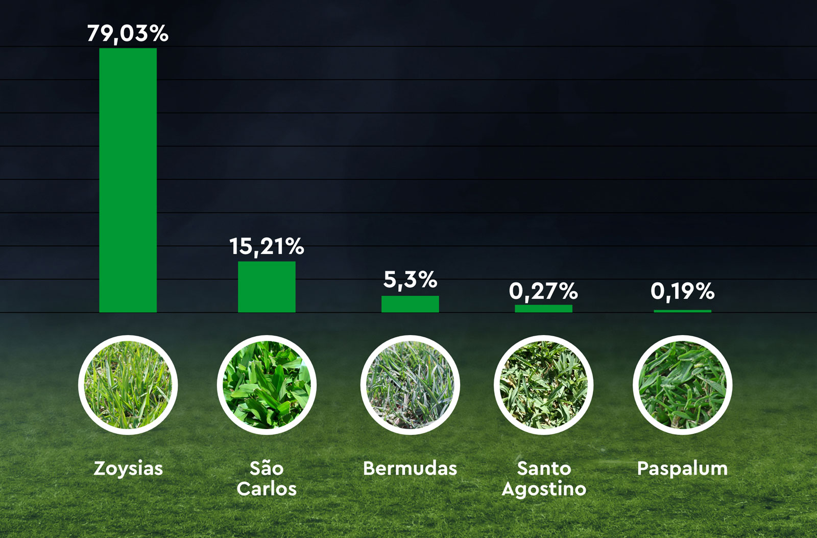 Porcentagem das gramas produzidas no país