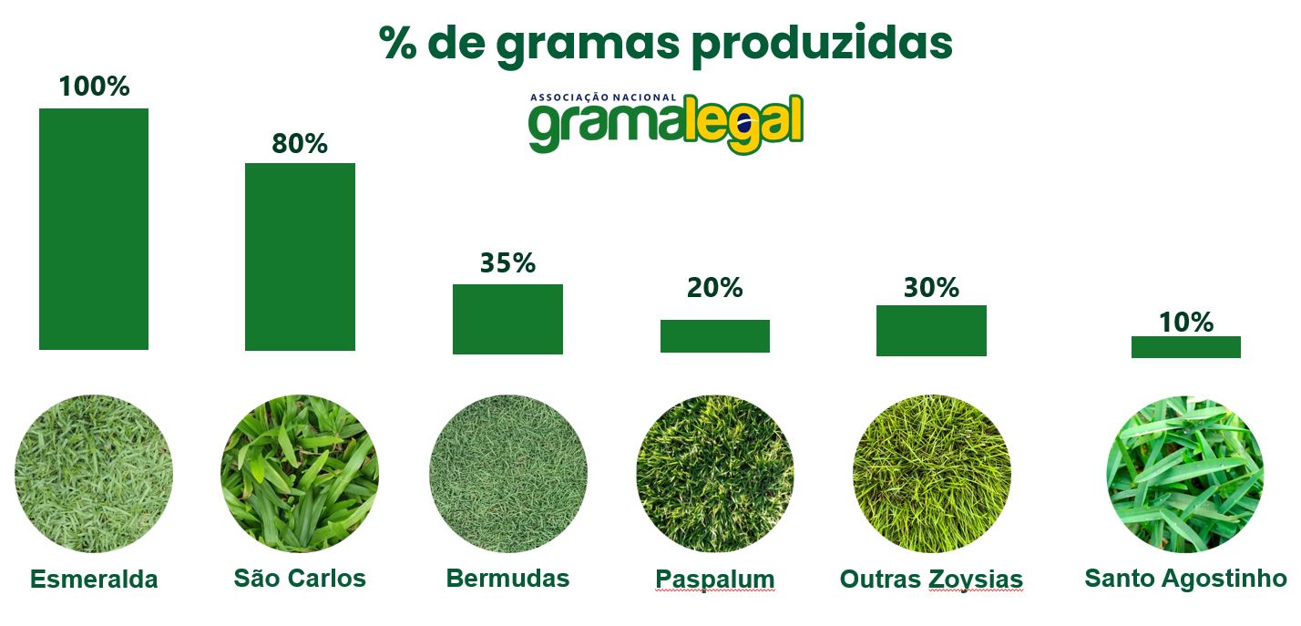 Porcentagem das gramas produzidas no país