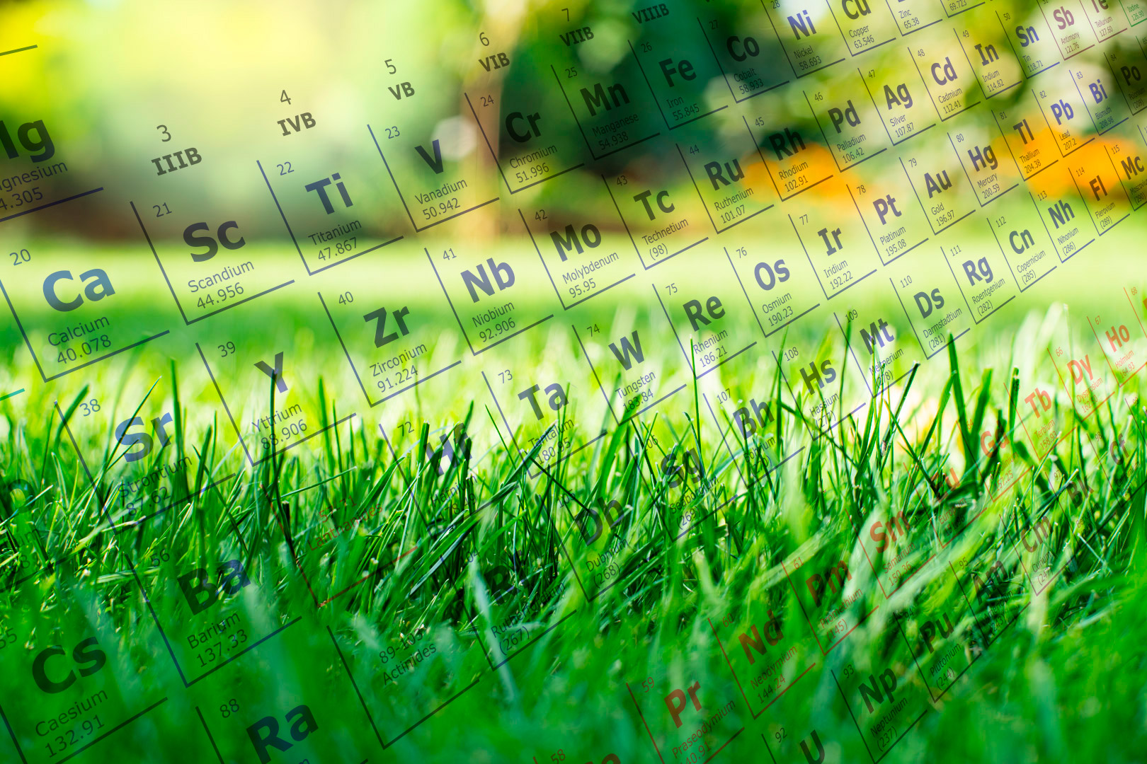 Micronutrientes Essenciais para Gramas e Gramados